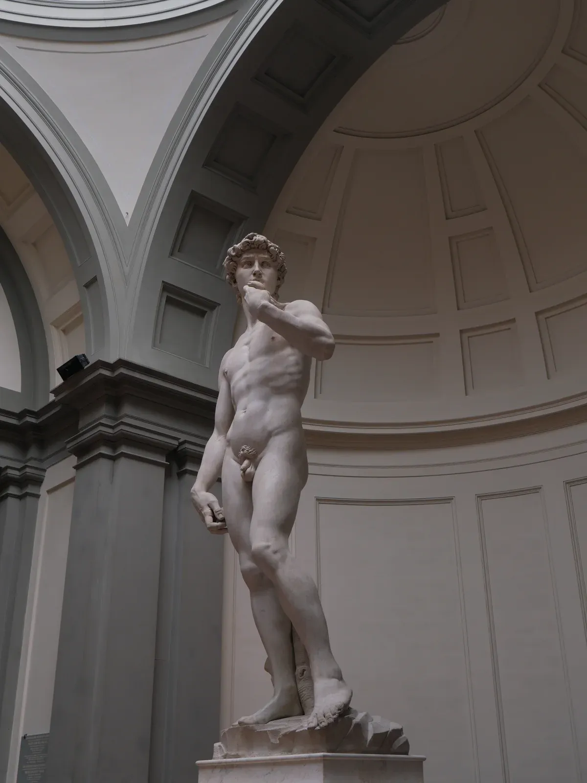 Michelangelo's David under the skylit tribune of the Accademia Gallery, entered on some tours from Rome to Florence